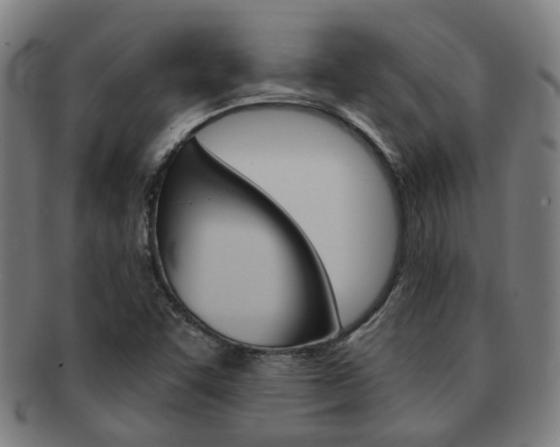 X0000091901455200709051054