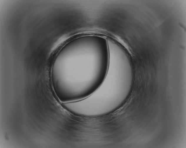 X0000091901456200709051054