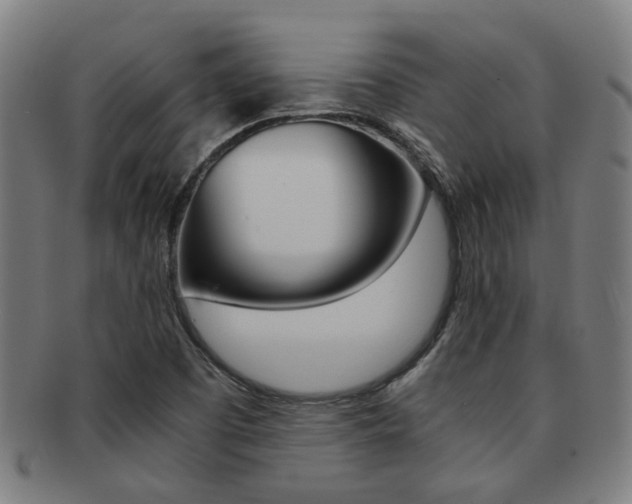 X0000091901457200709051054