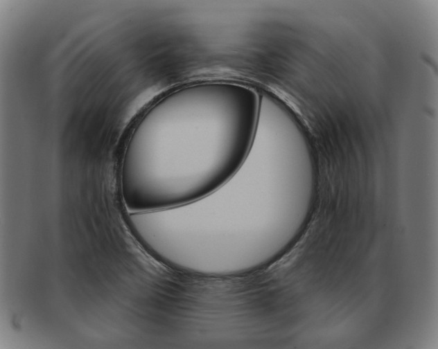 X0000091901458200709051054