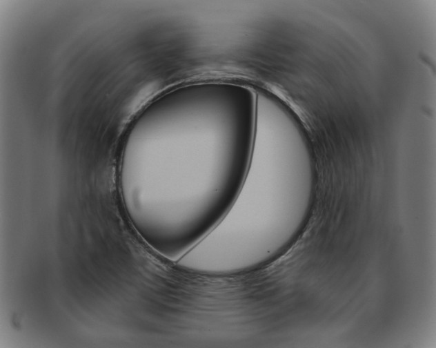 X0000091901459200709051054
