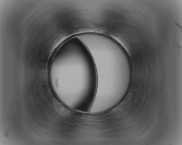 X0000091901460200709051054