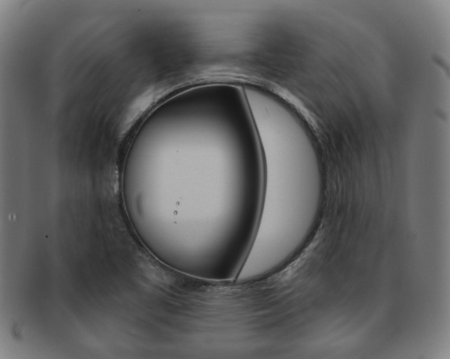 X0000091901461200709051054