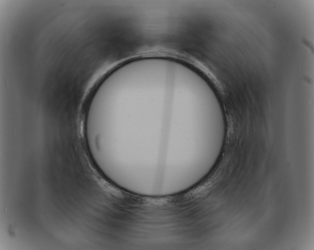 X0000091901462200709051054