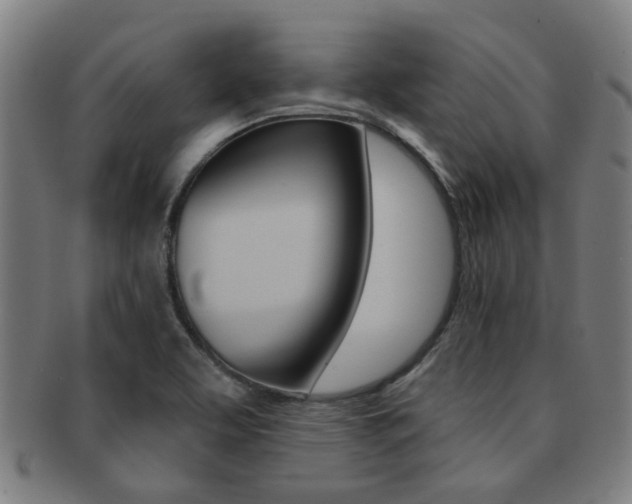 X0000091901463200709051054
