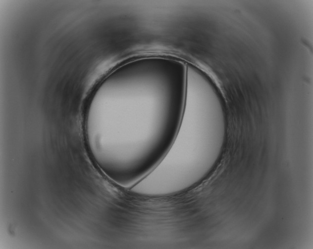 X0000091901464200709051054