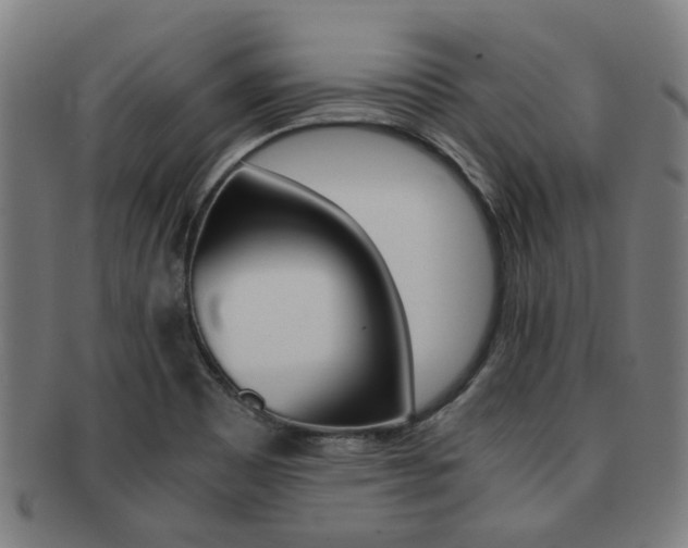 X0000091901465200709051054