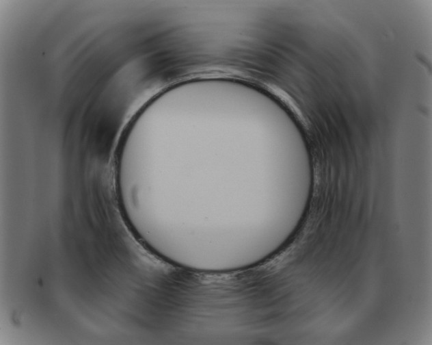 X0000091901466200709051054