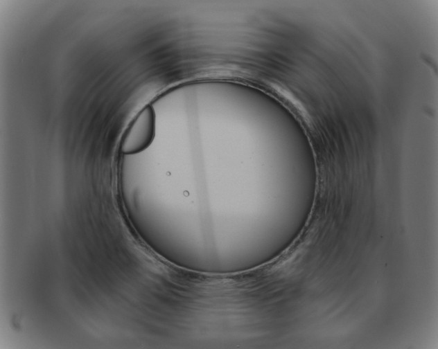 X0000091901467200709051054