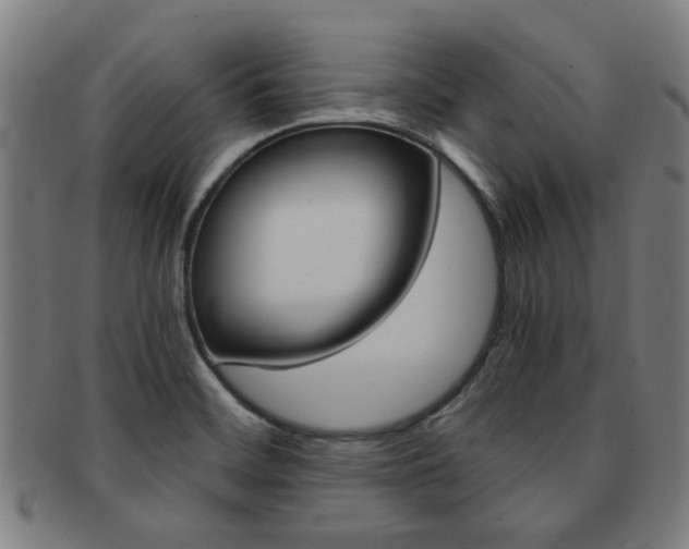 X0000091901468200709051054