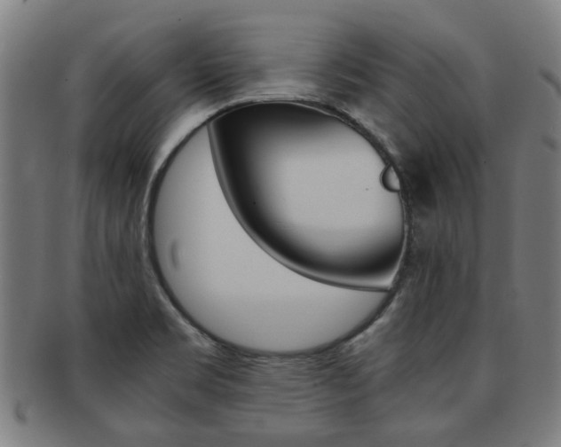 X0000091901469200709051054