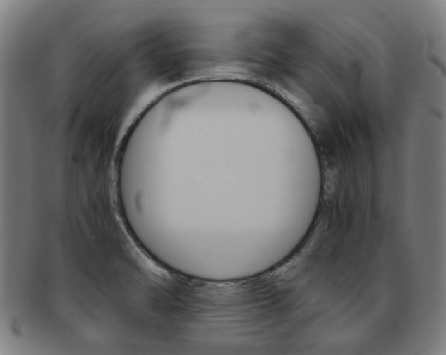 X0000091901470200709051054