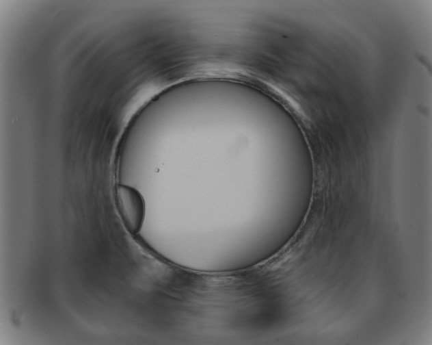 X0000091901471200709051054