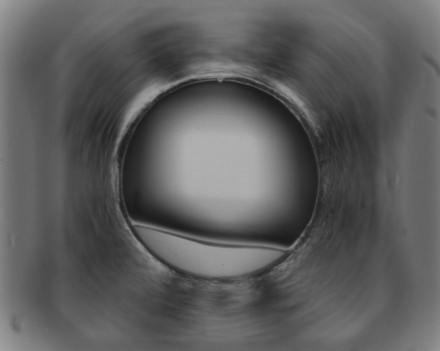 X0000091901472200709051054