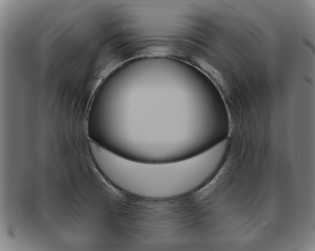 X0000091901473200709051054