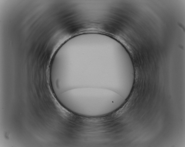 X0000091901474200709051054