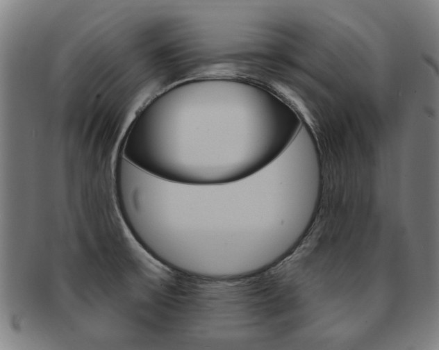 X0000091901475200709051054