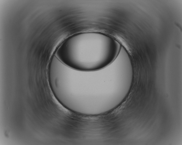 X0000091901476200709051054