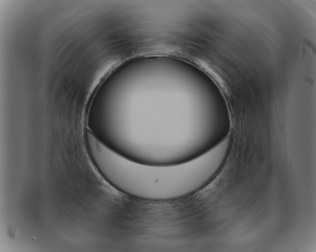 X0000091901477200709051054