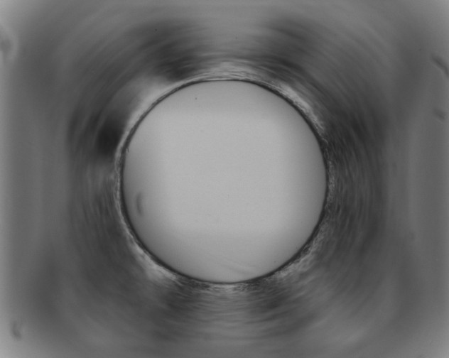 X0000091901478200709051054