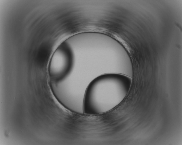 X0000091901479200709051054