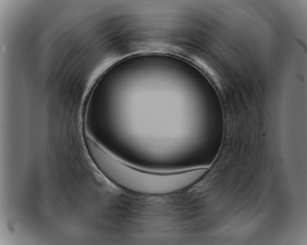 X0000091901480200709051054