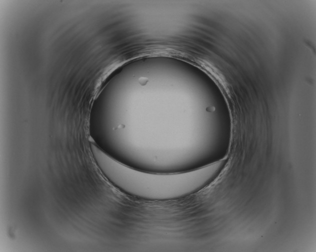 X0000091901481200709051054