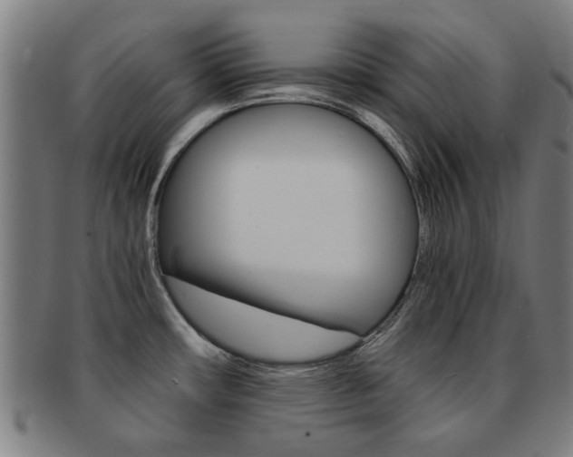 X0000091901482200709051054
