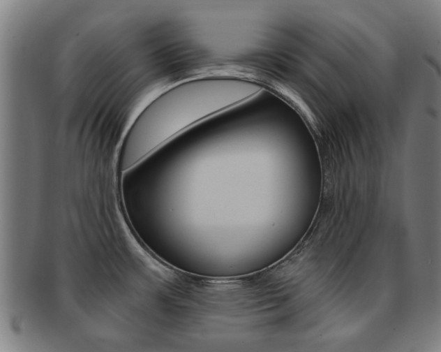 X0000091901483200709051054