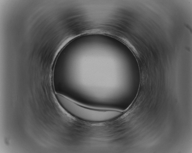 X0000091901484200709051054
