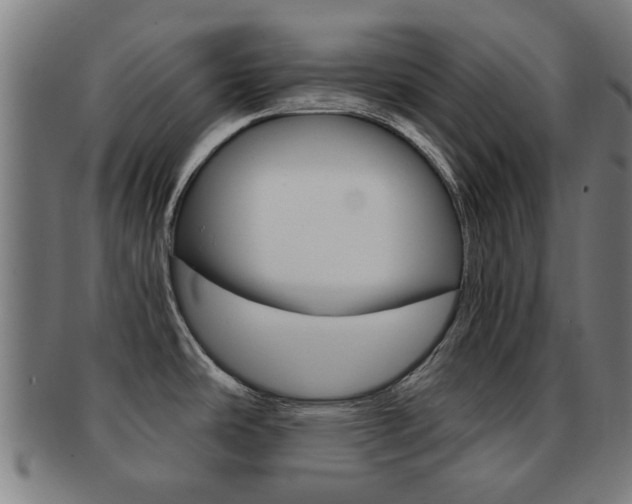 X0000091901486200709051054