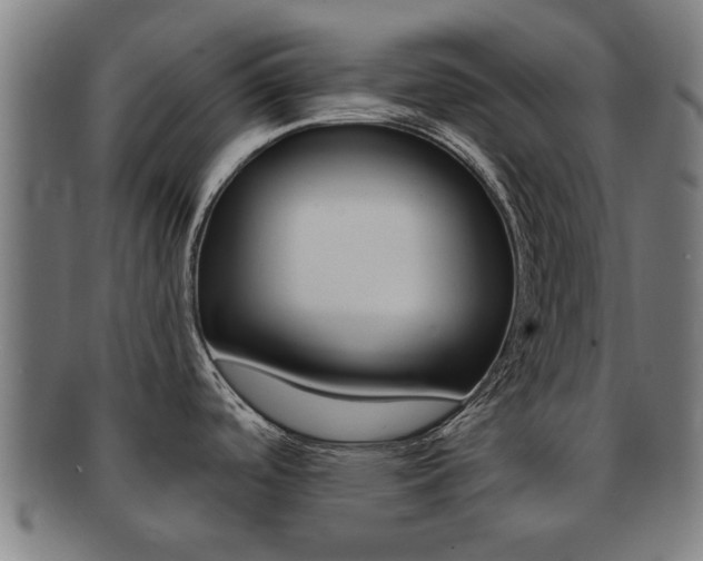 X0000091901488200709051054
