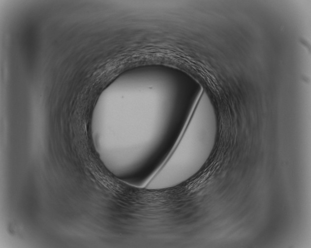 X0000091901489200709051053