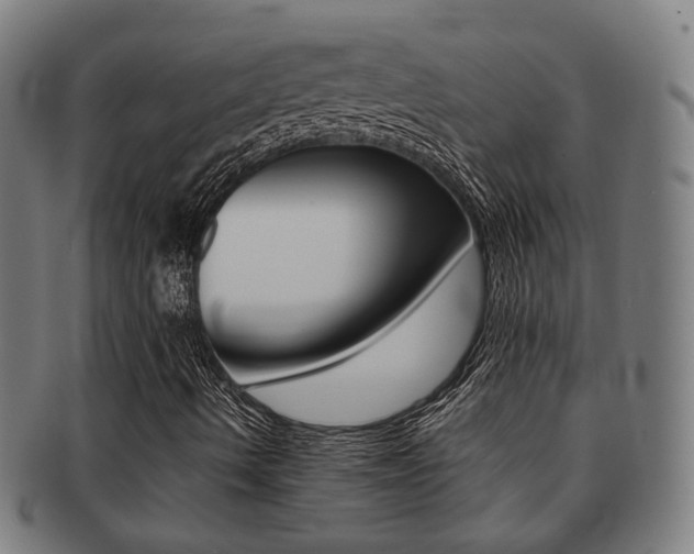 X0000091901490200709051053