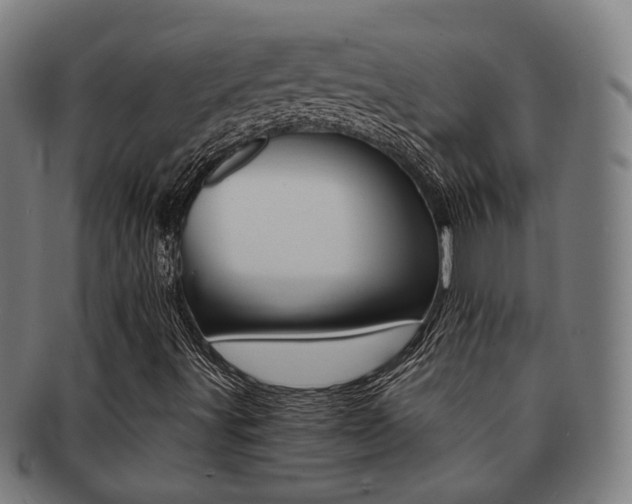 X0000091901491200709051053