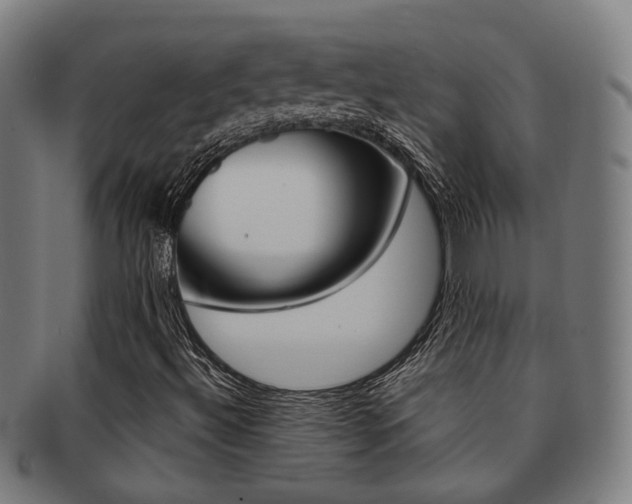 X0000091901492200709051053