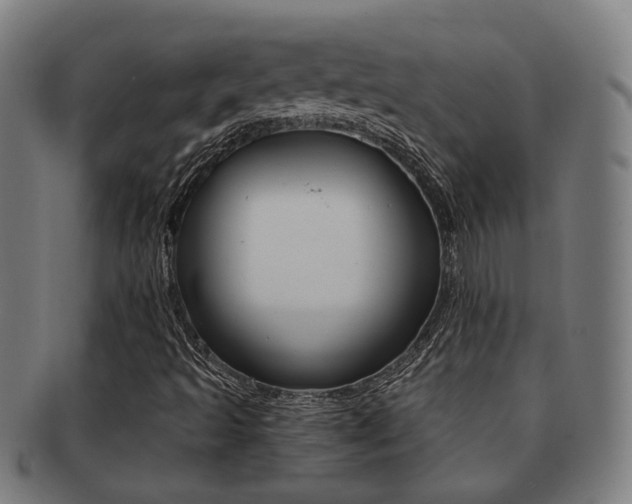 X0000091901493200709051053