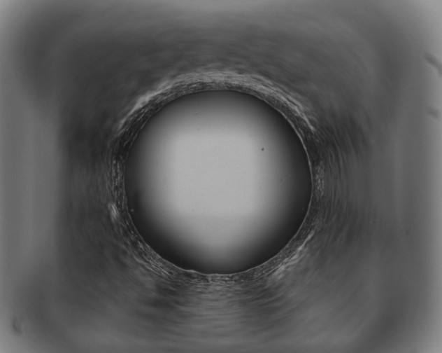 X0000091901494200709051053