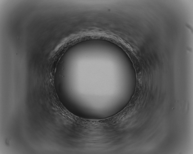 X0000091901495200709051053