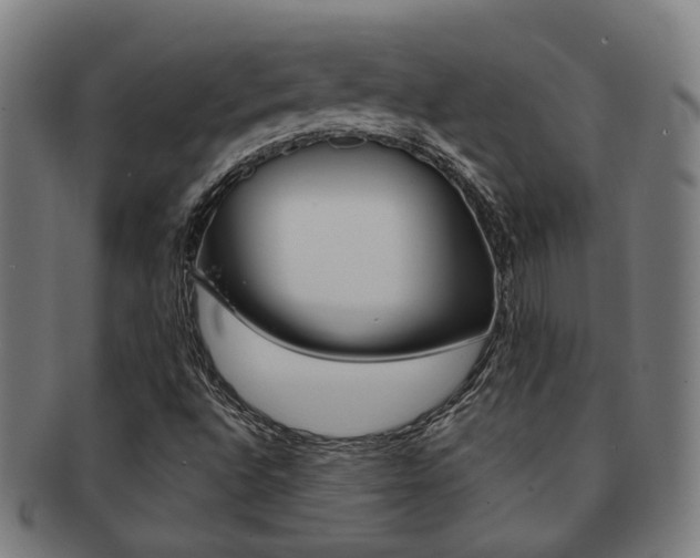 X0000091901496200709051053
