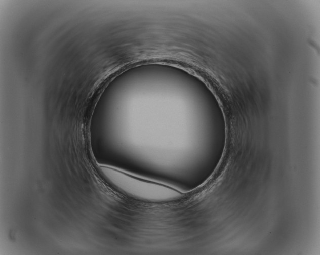 X0000091901497200709051053