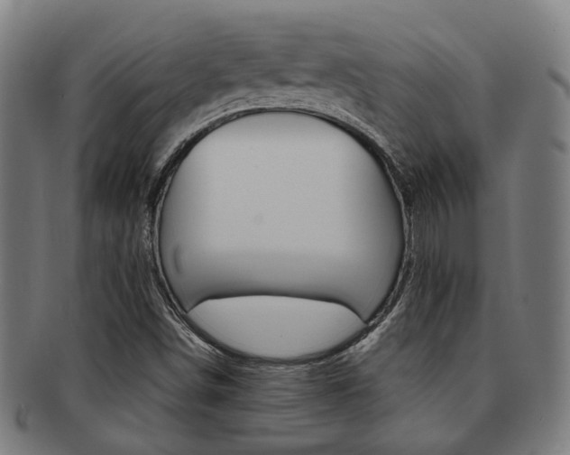X0000091901498200709051053
