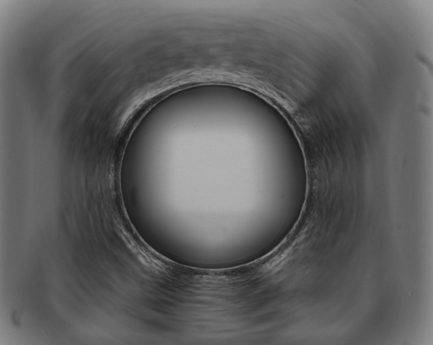 X0000091901499200709051053
