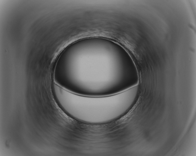 X0000091901500200709051053