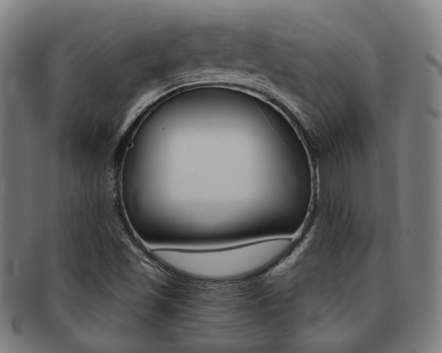 X0000091901501200709051053
