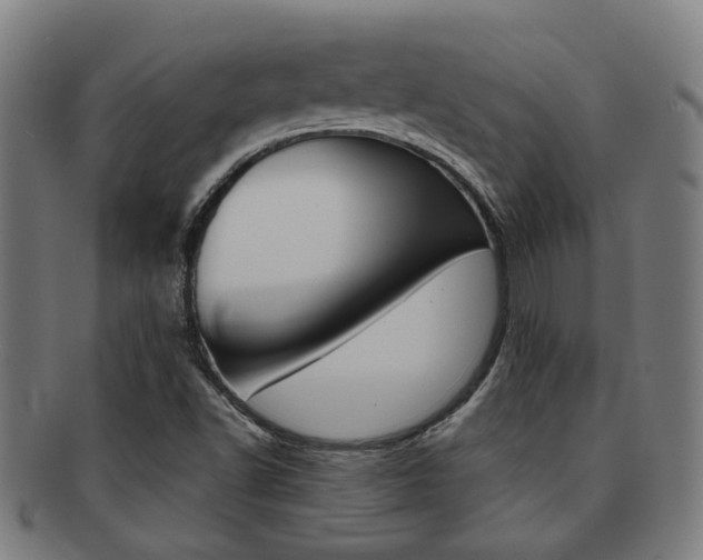 X0000091901502200709051053
