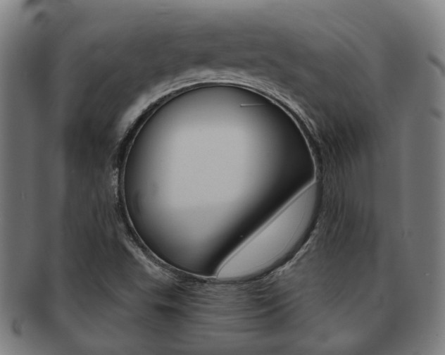 X0000091901503200709051053