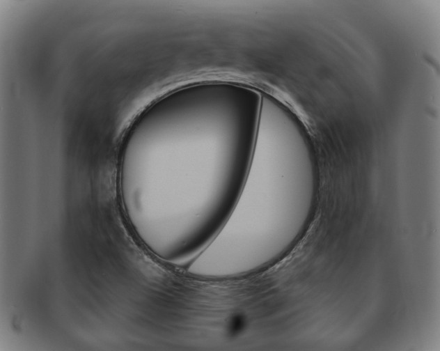 X0000091901504200709051053