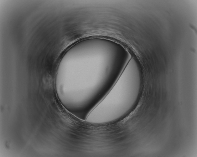 X0000091901505200709051053
