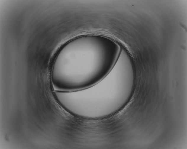 X0000091901506200709051053